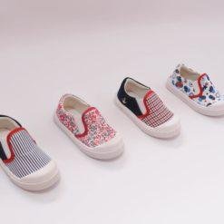 Art. 03 - Panchas
