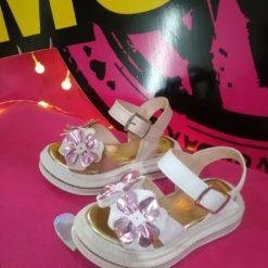 Articulo 59 N° 21 al 26